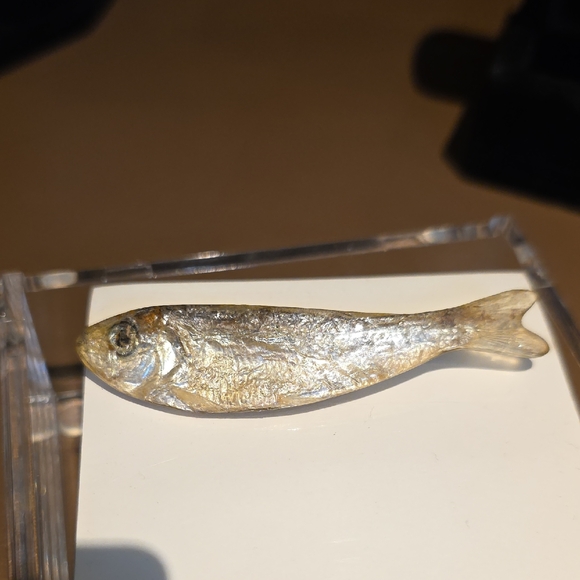 Silver Fish Brooch From KEN LOEBER